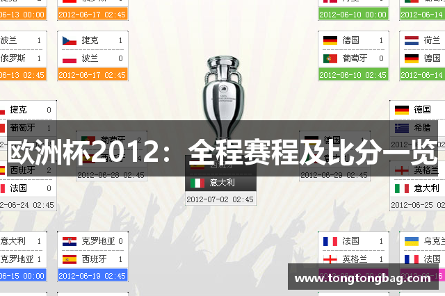 欧洲杯2012：全程赛程及比分一览